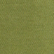 Zelena - Spring Fern