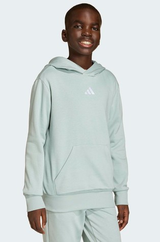 Essentials unisex pulover s kapuco