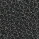 Črna - Black