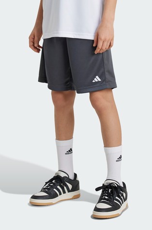 Train Essentials Logo Shorts