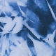Modra - Blue