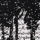 Večbarvna - Black / White