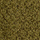Zelena - Green