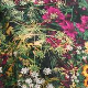 Večbarvna - Multi/Floral Print
