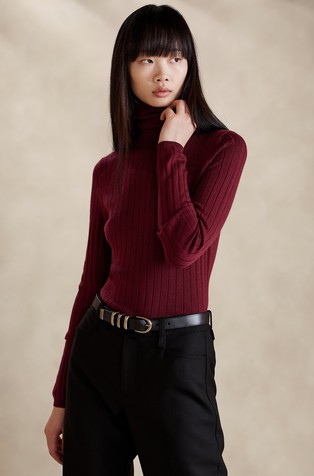 Banana republic deals merino turtleneck