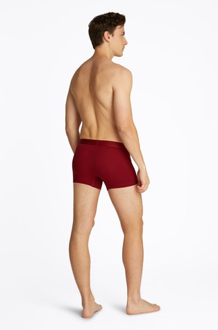 TOMMY HILFIGER Paket 3 boksaric s svetlečim logotipom Večbarvna - Blue / Gray / Red 3