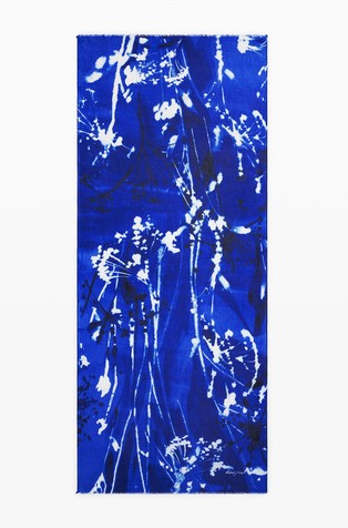 DESIGUAL Printed scarf Blue 2