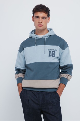 Hooded sweatshirt in colour block