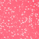 Roza - Pink