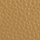 Rjava - Brown