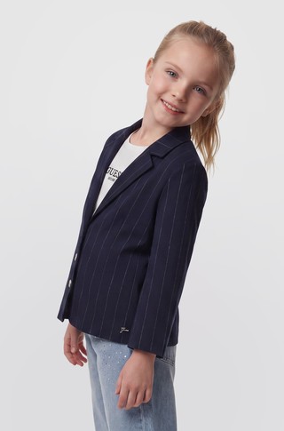 Lurex Striped Blazer