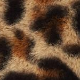 Rjava - Brown/Beige/Black