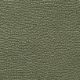 Zelena - Green