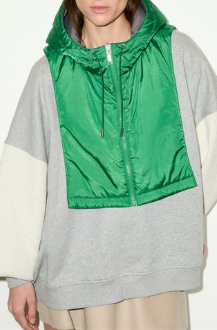 Reversible hooded collar
