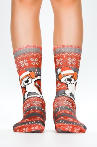 Christmas Fun Dog družinski paket 3 parov nogavic v darilni škatli