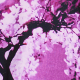 Purple / Multi