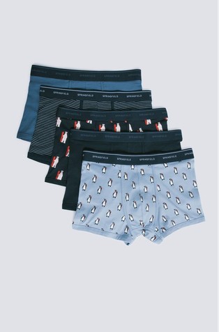Pack of 5 stretch cotton boxers