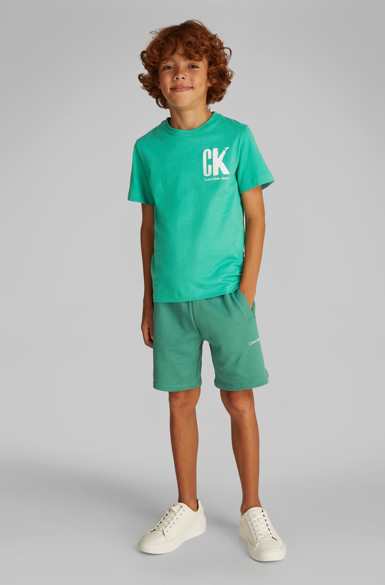 CALVIN KLEIN Logo T-shirt Green 