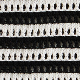 Večbarvna - Black / Ivory Petal Stripe