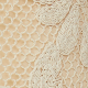 Bež - Cream