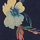 Modra - Navy Floral