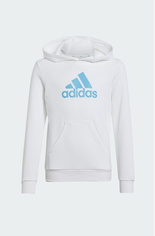 Essentials unisex pulover s kapuco in velikim logotipom