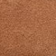 Rjava - Chestnut