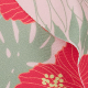 Tropical Hibiscus