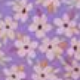 Floral Pattern