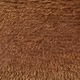 Rjava - Chestnut
