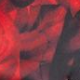 Rdeča - Red-Black
