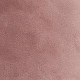 Roza - Rose