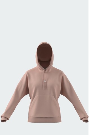 Essentials Small Logo pulover s kapuco