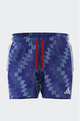 Graphic Swim Shorts