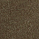 Kaki