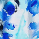Modra - Blue / White