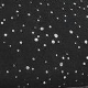 Črna - Black