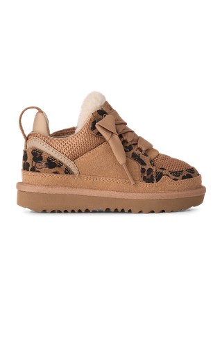 Lowmel Spotted Trainer