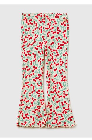 Rebraste pajkice z vzorcem