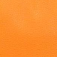 Oranžna - Orange
