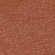 Rjava - Brown