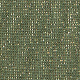 Black Olive