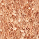 Rjava - Brown