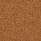 Rjava - Chestnut / Brightmelon