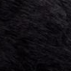 Črna - Black