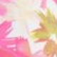 Roza - Pink