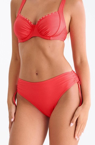 Panama bikini briefs with regulation