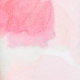 Večbarvna - Pink / White