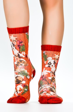 Puppy Santa družinski paket 3 parov nogavic v darilni škatli