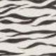 Večbarvna - Black&Ivory Zebra